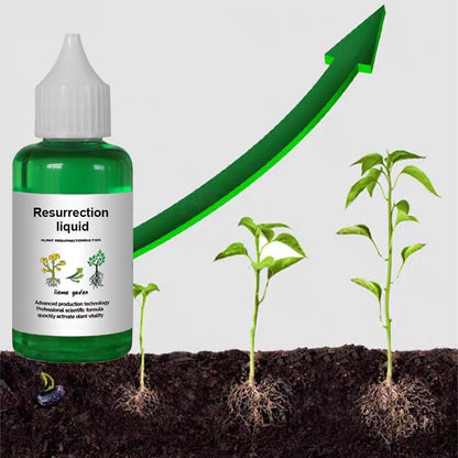 🌳BUY 2 GET 1 FREE👍Plant and Flower Activation Liquid Solution